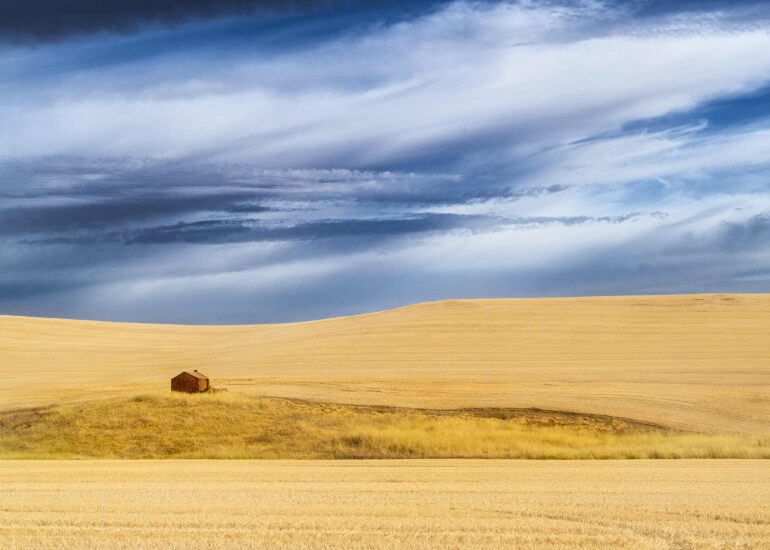 The Old Shepherds Hut in the Wastelands of South Australia